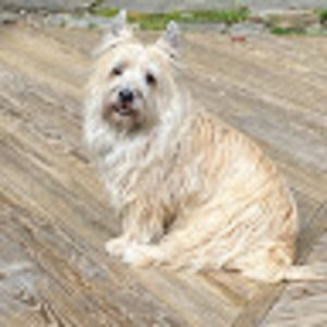 Meet your Posher, Candy